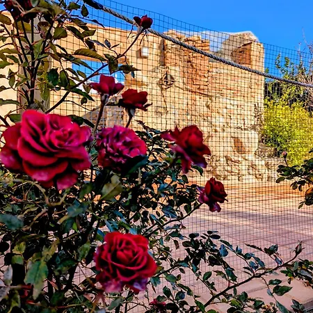 Hotel Mas Aguiló Miami Platja (Miami Playa)