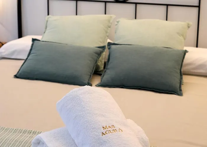 Hotel Mas Aguilo *